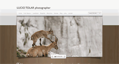 Desktop Screenshot of luciotolar.com